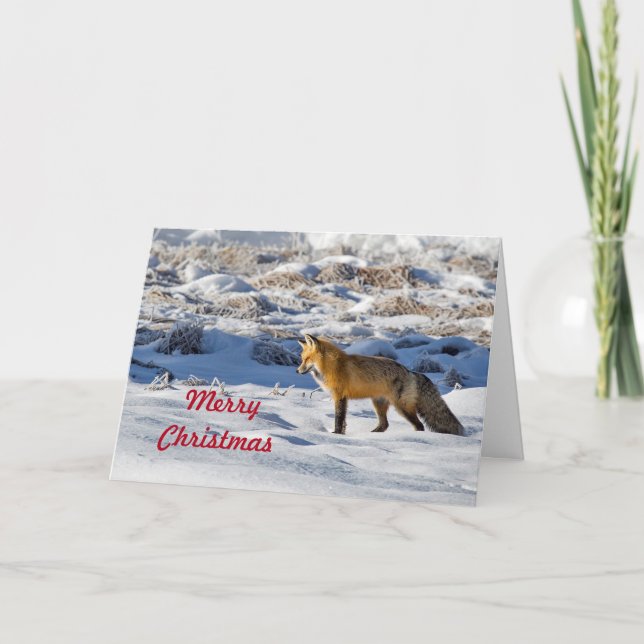 Pretty Fox Snow Photo Christmas Holiday Card (Front)