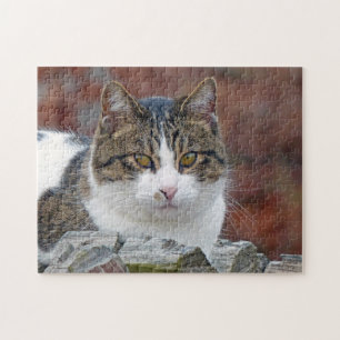 Pretty Girl Jigsaw Puzzle