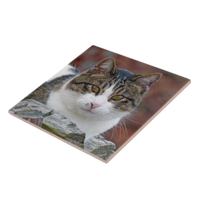 Pretty Girl Tile (Side)