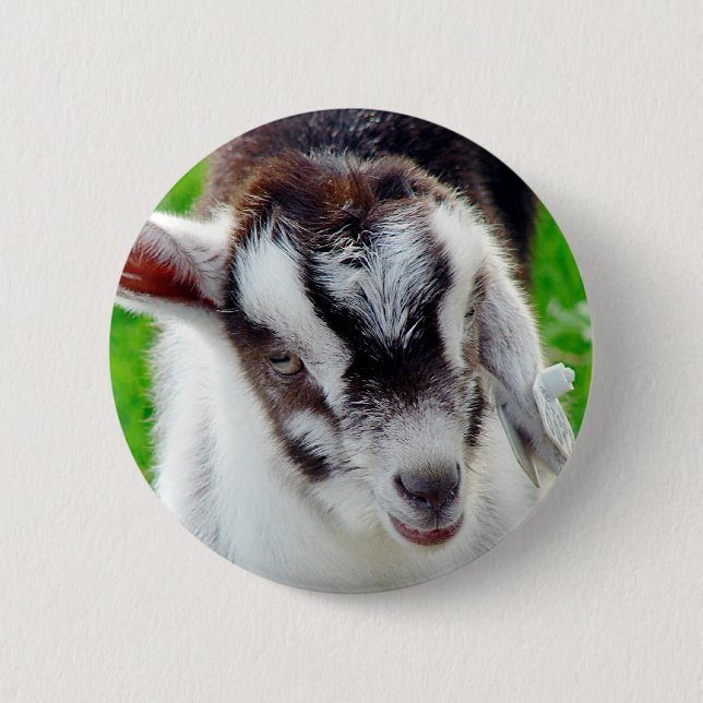 Pretty Goat Kid 6 Cm Round Badge (Front)