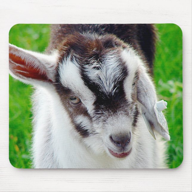 Pretty Goat Kid Mouse Mat (Front)