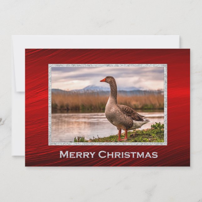 Pretty Goose Landscape Photo Christmas Flat Holiday Card (Front)