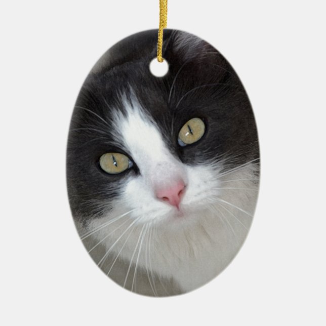 Pretty gray and white cat ceramic tree decoration (Front)