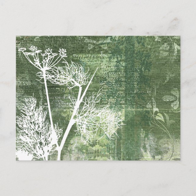 Pretty Green and White Dandelion Seeds Vintage Postcard (Front)