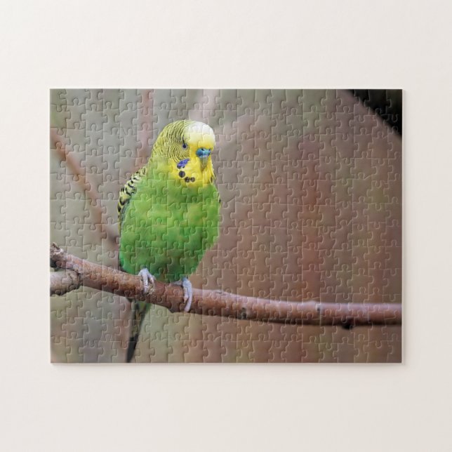 Pretty Green Budgie Photo Jigsaw Puzzle (Horizontal)