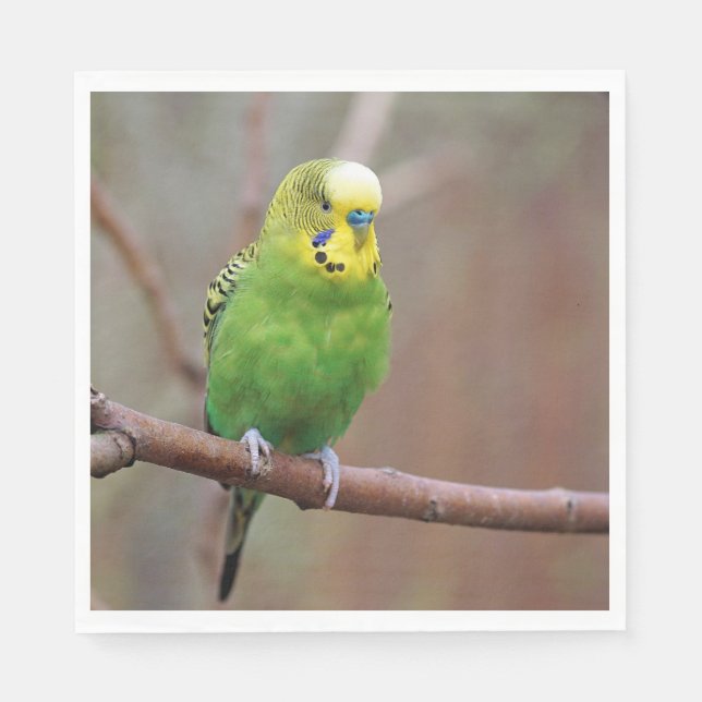 Pretty Green Budgie Photo Napkin (Front)