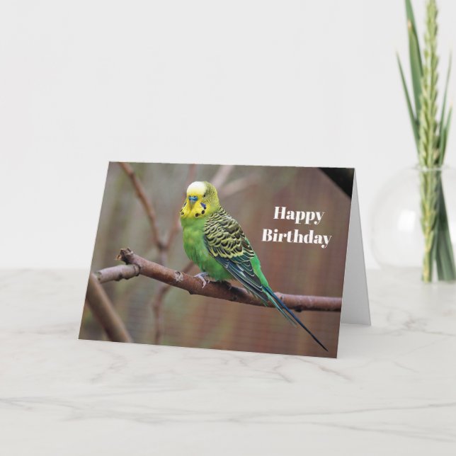 Pretty Green Parakeet Photo Birthday Card (Front)