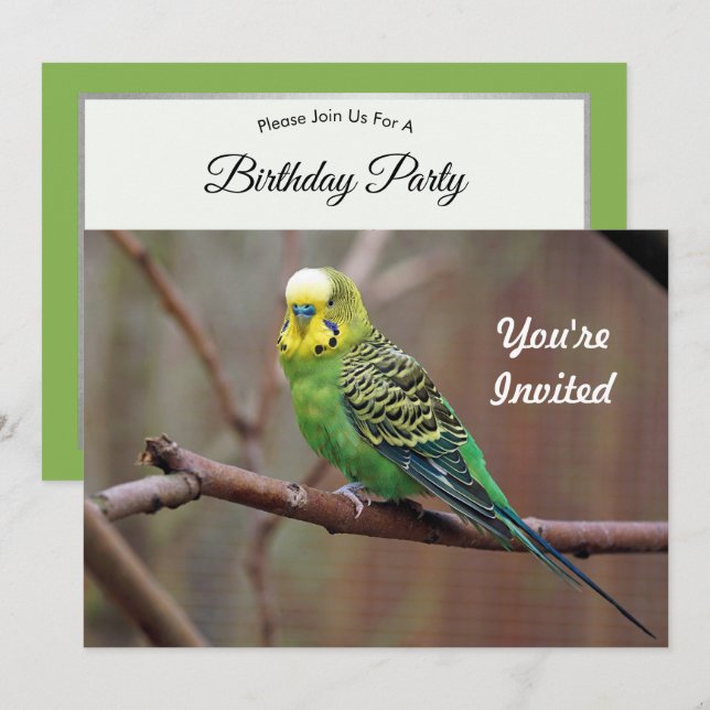Pretty Green Parakeet Photo Birthday Invitation (Front/Back)