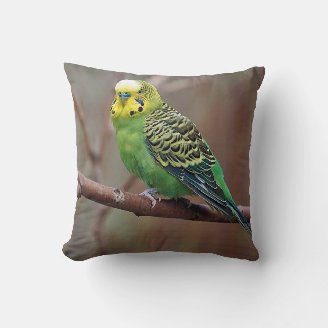 Pretty Green Parakeet Photo Cushion (Front)
