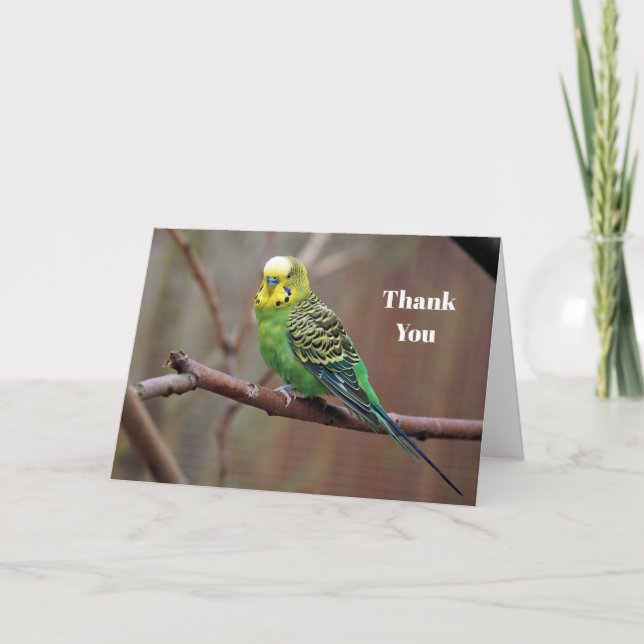 Pretty Green Parakeet Photo Thank You Card (Front)