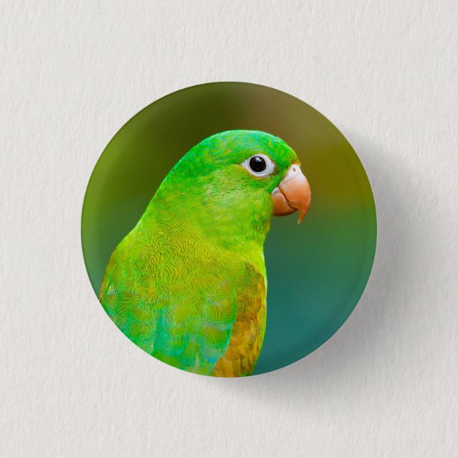 Pretty Green Parrot Photo 3 Cm Round Badge (Front)
