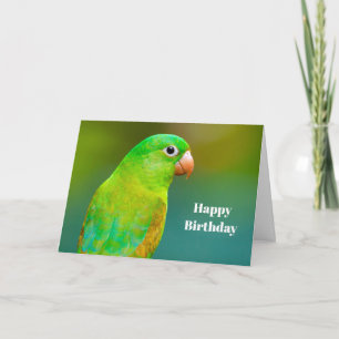 Pretty Green Parrot Photo Birthday Card