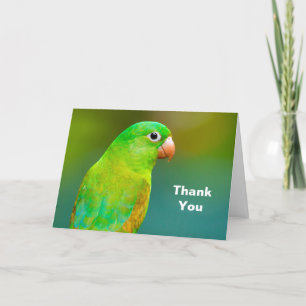 Pretty Green Parrot Photo Thank You Card