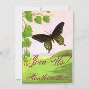 Pretty Green Vintage Butterfly Invitations