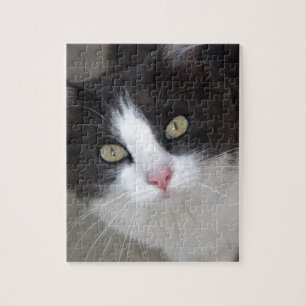 Pretty grey and white cat jigsaw puzzle