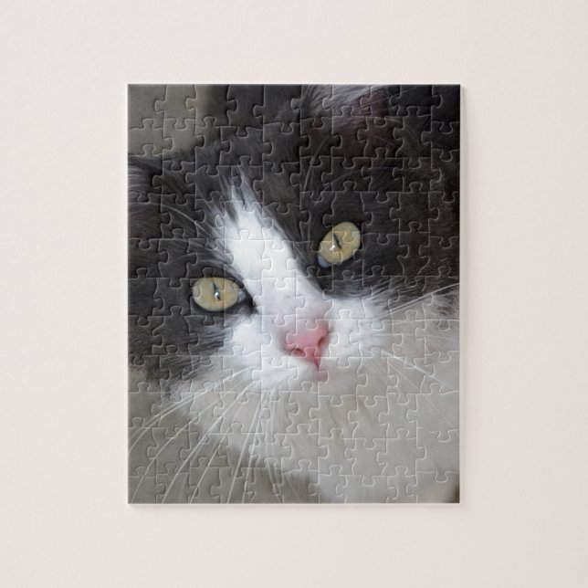 Pretty grey and white cat jigsaw puzzle (Vertical)