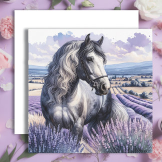 Pretty Grey Horse Standing in Lavender