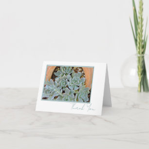 Pretty Hen & Chicks Any Occasion Script 4 x 6 Thank You Card