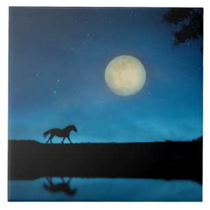 Pretty Horse and Moon with Blue Sky Tile