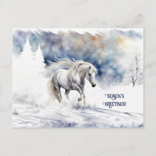 Pretty Horse and Snow Christmas Seasons Greetings Holiday Postcard