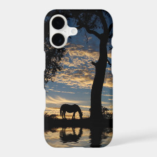Pretty Horse and Water