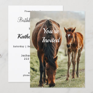 Pretty Horse Foal Photo Birthday Invitation