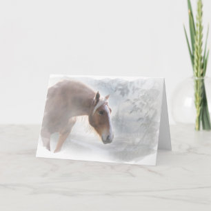Pretty Horse in the Snow Note Card