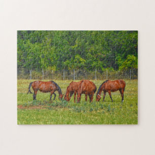 Pretty Horses Grazing in a Texas Pasture Peaceful Jigsaw Puzzle