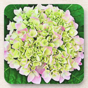 Pretty Hydrangea Flower Art Coaster Set