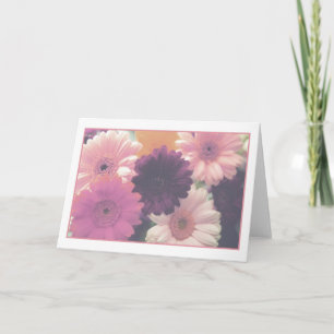 Pretty in Pink Daisy Flower Photo Greeting Card