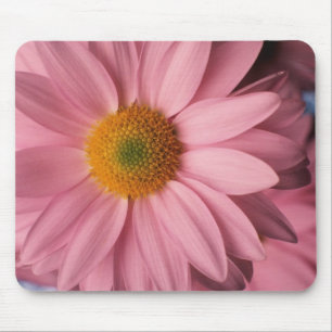 Pretty in Pink Daisy Mousepad