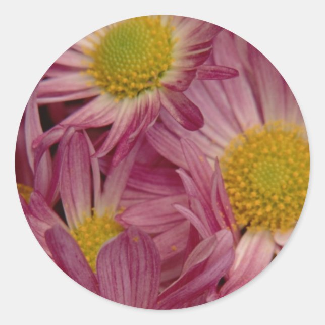 Pretty In Pink: Envelope Seals (Front)