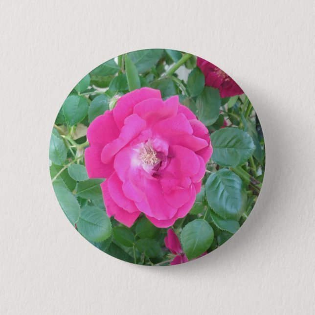 Pretty In Pink Flower 6 Cm Round Badge (Front)