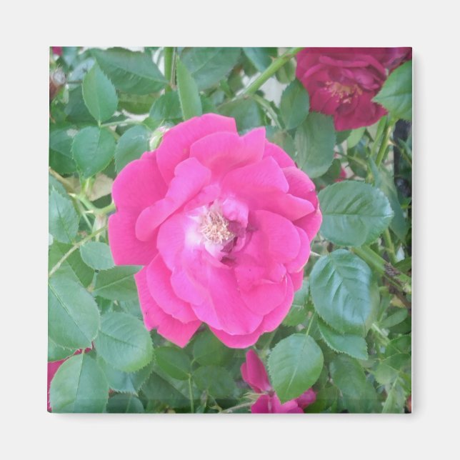 Pretty In Pink Flower Magnet (Front)