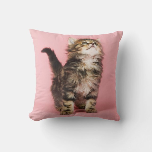 Pretty in Pink Kitten Cushion (Front)
