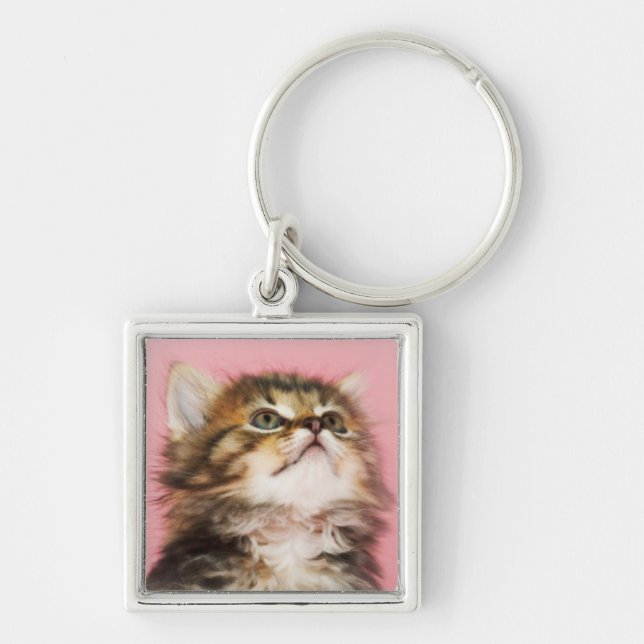 Pretty in Pink Kitten Key Ring (Front)