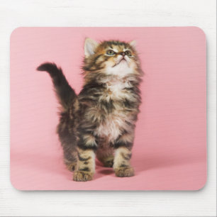 Pretty in Pink Kitten Mouse Mat