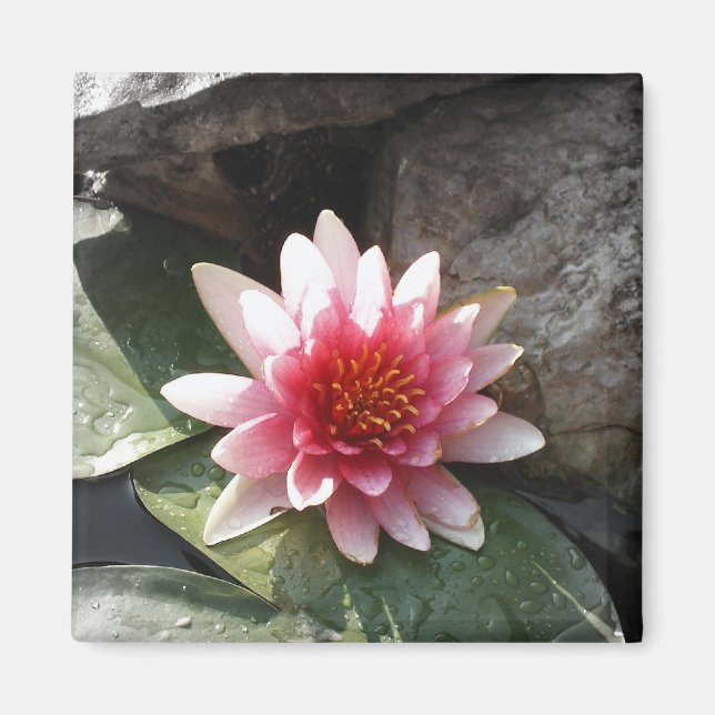 Pretty in Pink Magnet (Front)