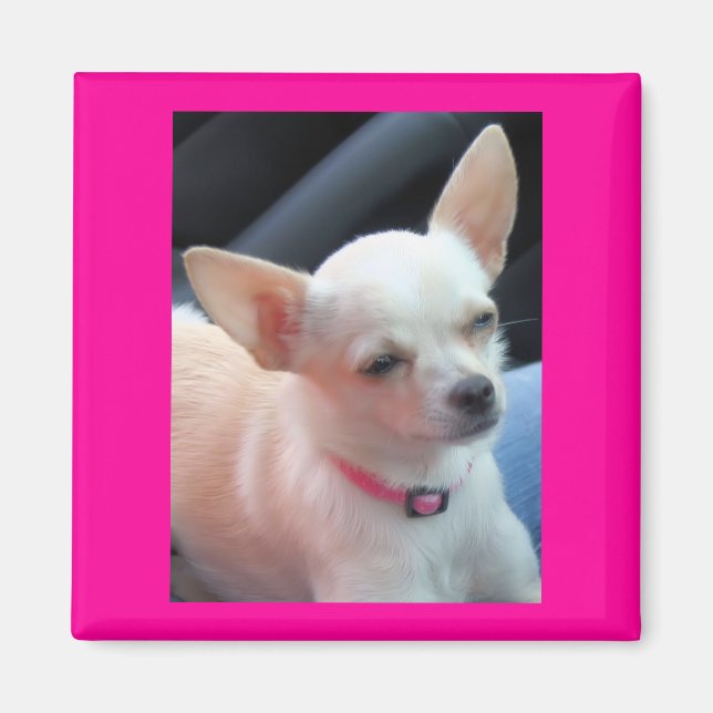 Pretty in Pink Magnet (Front)