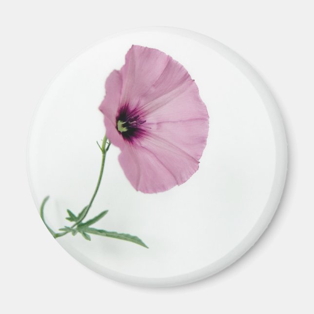 Pretty In Pink Magnet (Front)