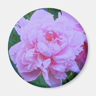 "Pretty in Pink" Magnet