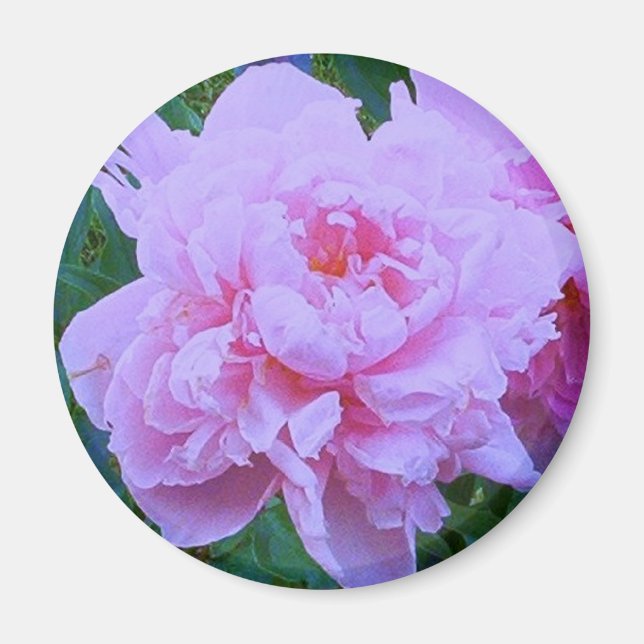 "Pretty in Pink" Magnet (Front)