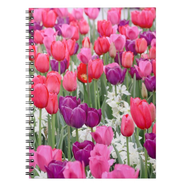 Pretty in Pink Petals  Notebook (Front)