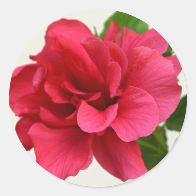 Pretty in Pink - Sticker (Front)