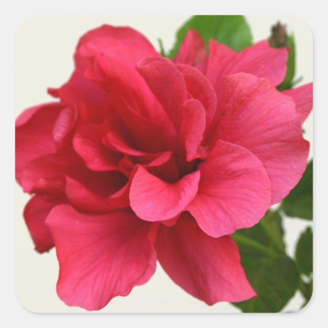 Pretty in Pink - Sticker (Front)