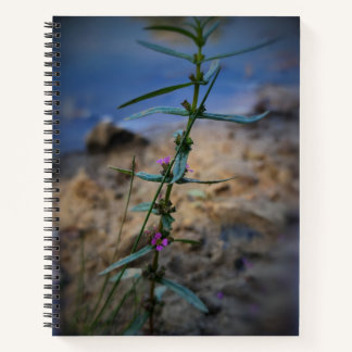 Pretty in Purple College-Ruled Notebook