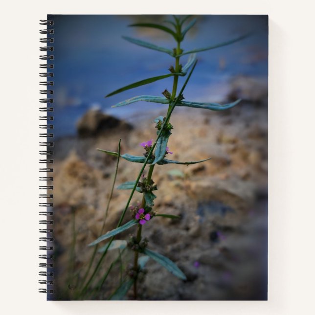 Pretty in Purple College-Ruled Notebook (Front)