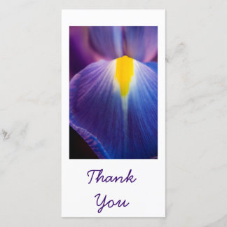 Pretty in Purple Iris Thank You Cards