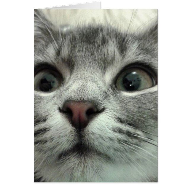 Pretty Kitten, Gute Besserung (Front)