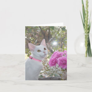 Pretty Kitten Note Card